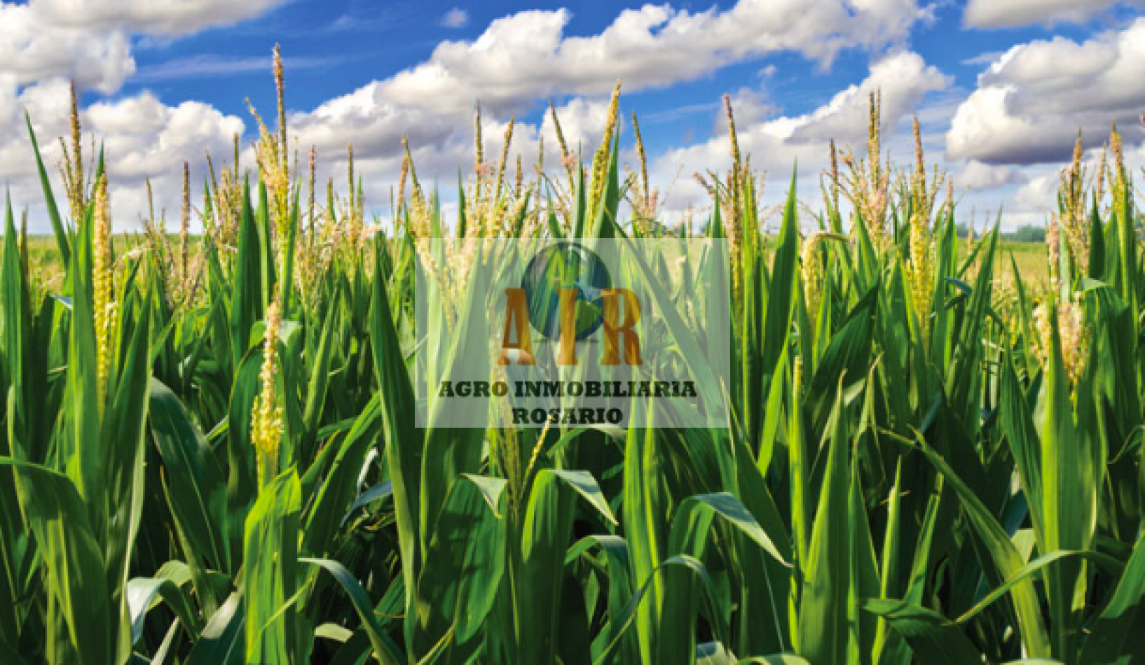 FIGHIERA, SANTA FE 170 HECTAREAS AGRICOLAS