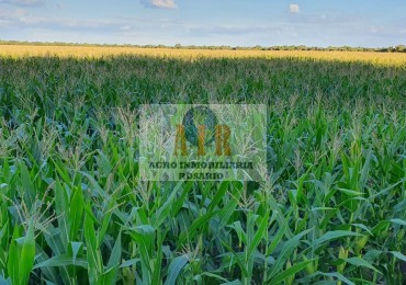 FRACCION 7.3 HECTAREAS ALDAO PROVINCIA DE SANTA FE ARGENTINA